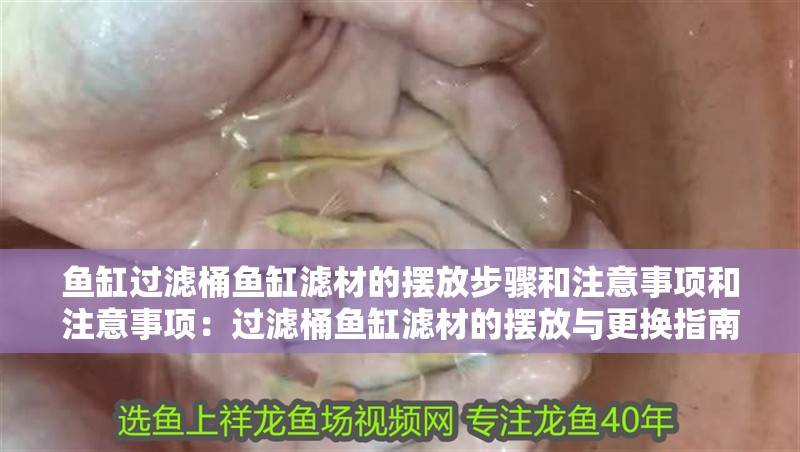 魚缸過濾桶魚缸濾材的擺放步驟和注意事項和注意事項：過濾桶魚缸濾材的擺放與更換指南