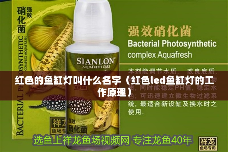 紅色的魚缸燈叫什么名字（紅色led魚缸燈的工作原理）