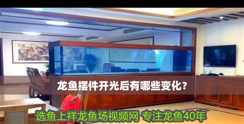 龍魚(yú)擺件開(kāi)光后有哪些變化？