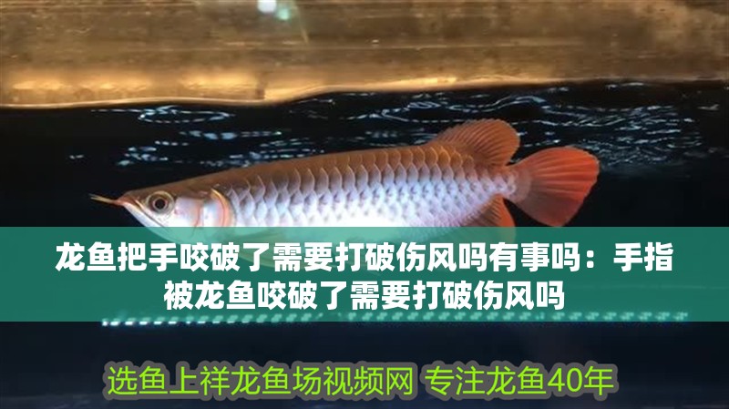 龍魚把手咬破了需要打破傷風嗎有事嗎：手指被龍魚咬破了需要打破傷風嗎