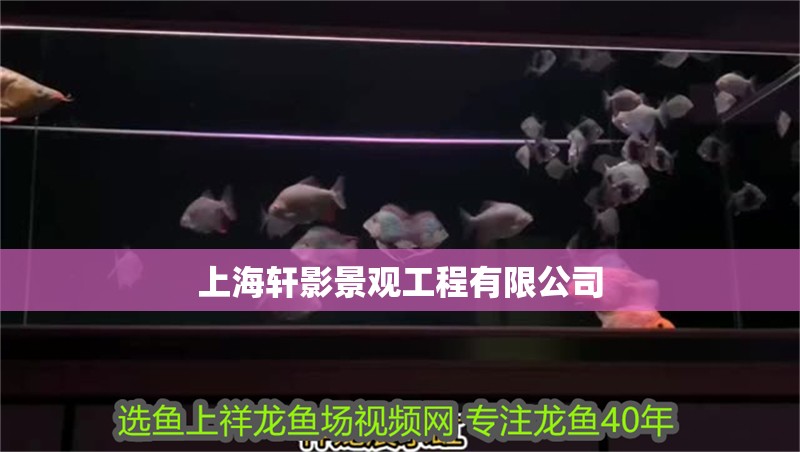上海軒影景觀工程有限公司