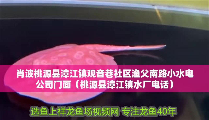 肖波桃源縣漳江鎮觀音巷社區漁父南路小水電公司門面（桃源縣漳江鎮水廠電話）
