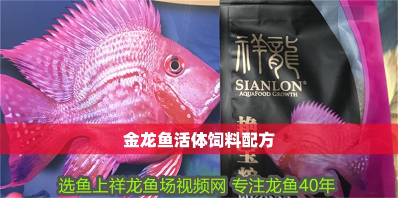 魚缸過濾器選購指南:自制魚缸過濾器魚缸上置過濾器對于養魚愛好者的必備知識 金龍魚活體飼料配方 龍魚百科 金龍魚活體飼料配方 金龍魚活體飼料配方 龍魚百科