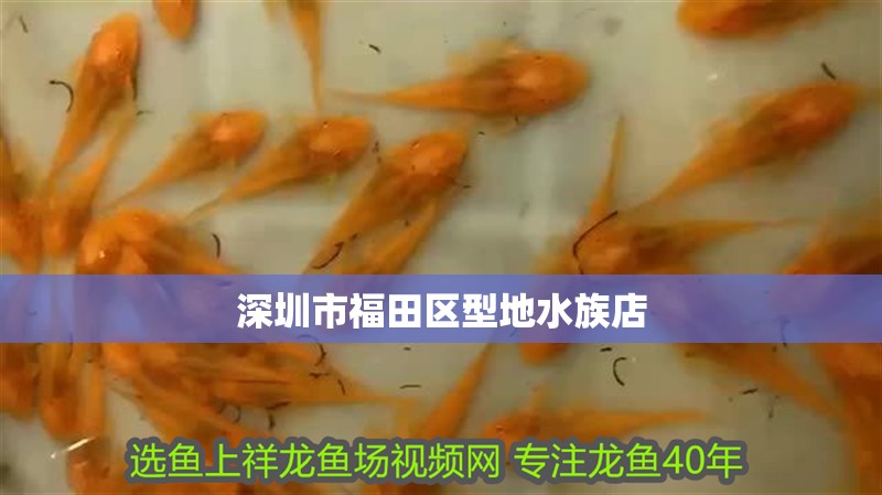 深圳市福田區型地水族店
