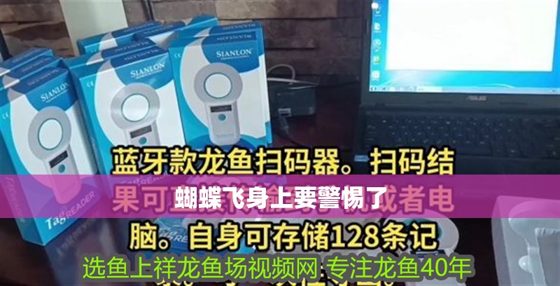 蝴蝶飛身上要警惕了