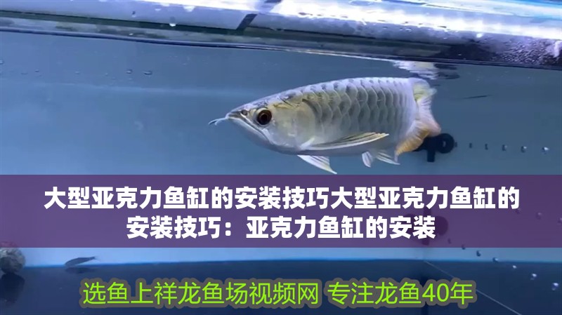 大型亞克力魚缸的安裝技巧大型亞克力魚缸的安裝技巧：亞克力魚缸的安裝
