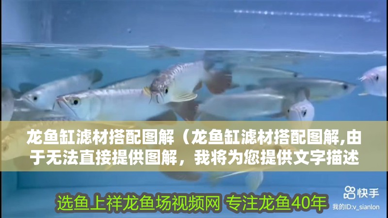龍魚缸濾材搭配圖解（龍魚缸濾材搭配圖解,由于無法直接提供圖解，我將為您提供文字描述）