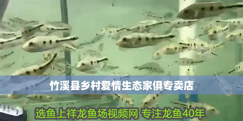 竹溪縣鄉村愛情生態家俱專賣店