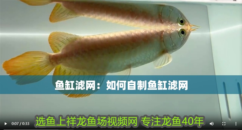魚缸濾網(wǎng)：如何自制魚缸濾網(wǎng)