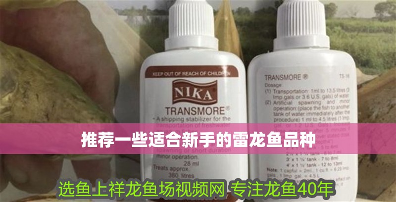 推薦一些適合新手的雷龍魚品種
