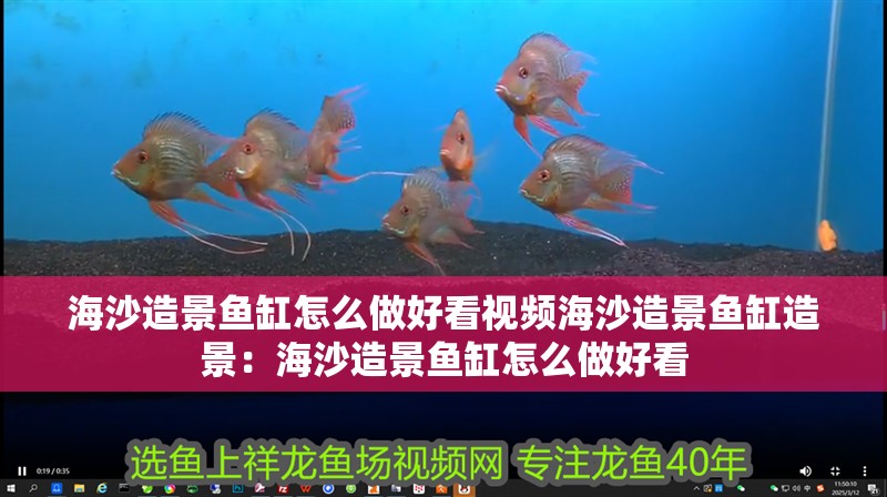 海沙造景魚缸怎么做好看視頻海沙造景魚缸造景：海沙造景魚缸怎么做好看