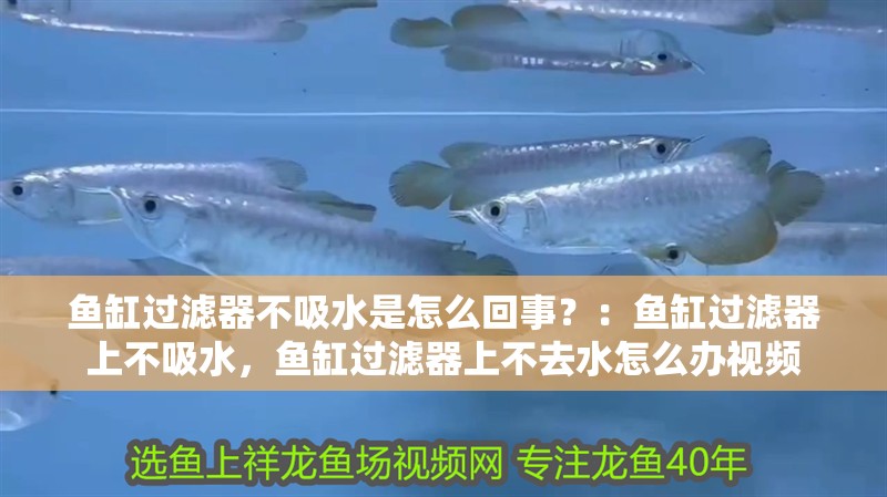 魚缸過濾器不吸水是怎么回事？：魚缸過濾器上不吸水，魚缸過濾器上不去水怎么辦視頻