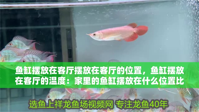 魚缸擺放在客廳擺放在客廳的位置，魚缸擺放在客廳的溫度：家里的魚缸擺放在什么位置比較合適？