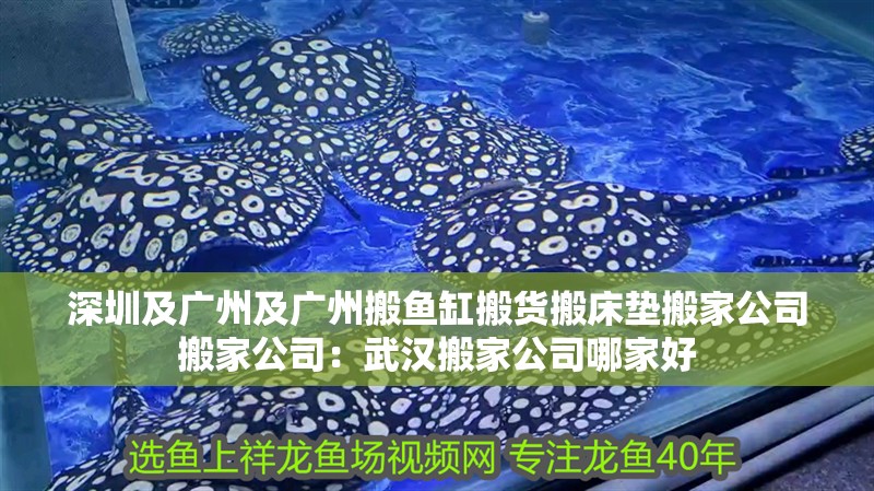 深圳及廣州及廣州搬魚缸搬貨搬床墊搬家公司搬家公司：武漢搬家公司哪家好