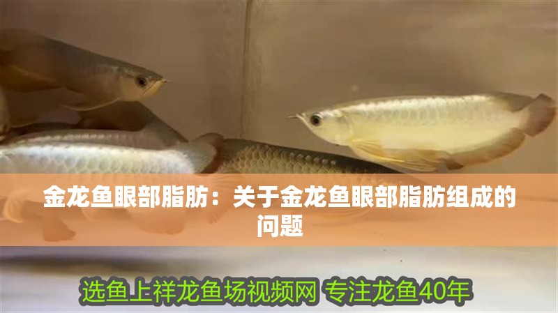 金龍魚(yú)眼部脂肪：關(guān)于金龍魚(yú)眼部脂肪組成的問(wèn)題