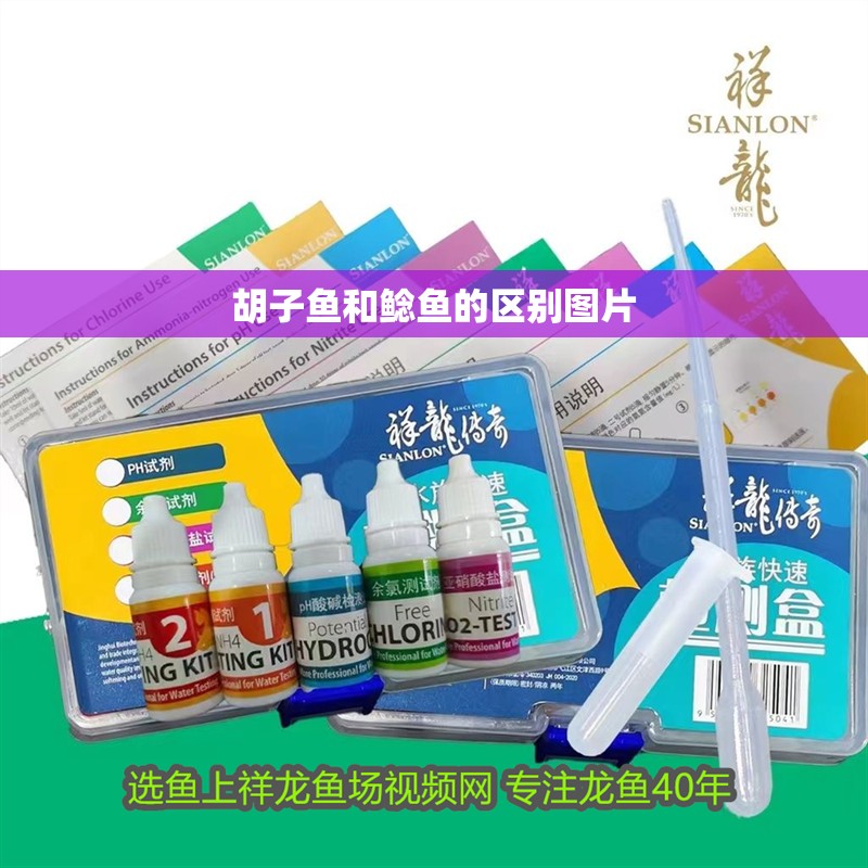 胡子魚和鯰魚的區別圖片