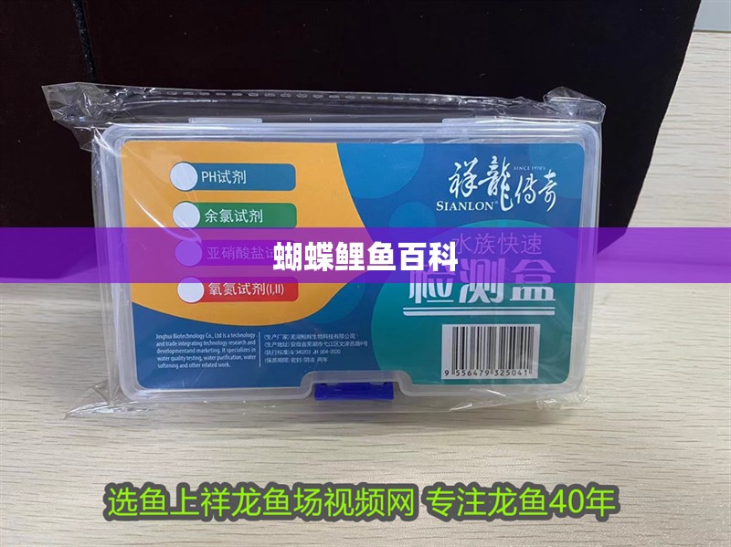 蝴蝶鯉魚百科 蝴蝶鯉魚百科 龍魚論壇