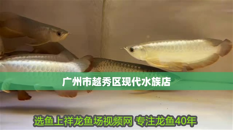 廣州市越秀區現代水族店