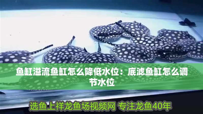 魚缸溢流魚缸怎么降低水位：底濾魚缸怎么調節(jié)水位