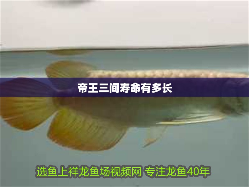 帝王三間壽命有多長