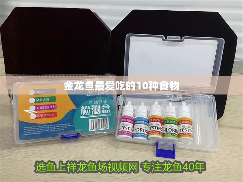 金龍魚最愛吃的10種食物