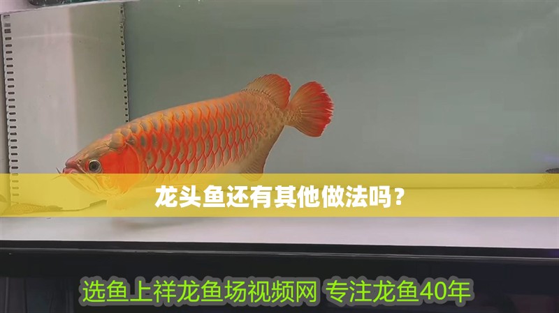龍頭魚還有其他做法嗎？