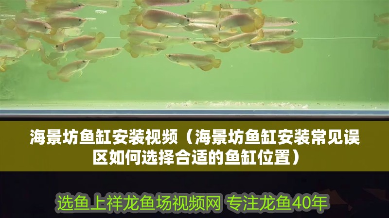 海景坊魚缸安裝視頻（海景坊魚缸安裝常見誤區如何選擇合適的魚缸位置）