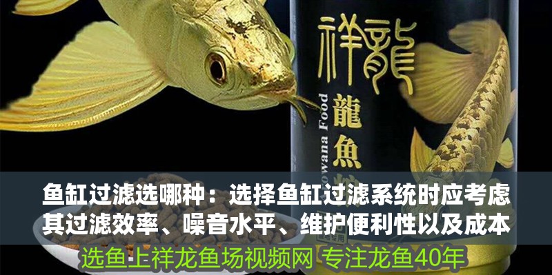 魚缸過濾選哪種：選擇魚缸過濾系統時應考慮其過濾效率、噪音水平、維護便利性以及成本等因素