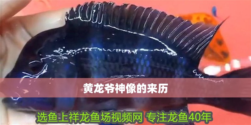魚缸過濾器選購指南:自制魚缸過濾器魚缸上置過濾器對于養魚愛好者的必備知識 黃龍爺神像的來歷 龍魚論壇 黃龍爺神像的來歷 黃龍爺神像的來歷 龍魚論壇