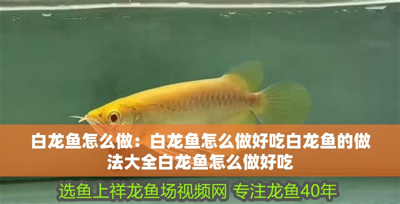 白龍魚怎么做：白龍魚怎么做好吃白龍魚的做法大全白龍魚怎么做好吃