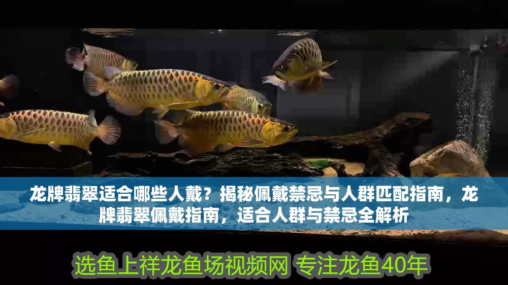 龍牌翡翠適合哪些人戴？揭秘佩戴禁忌與人群匹配指南，龍牌翡翠佩戴指南，適合人群與禁忌全解析