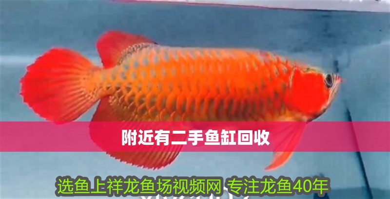 附近有二手魚缸回收