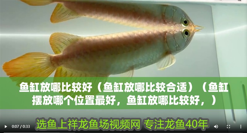 魚缸放哪比較好（魚缸放哪比較合適）（魚缸擺放哪個位置最好，魚缸放哪比較好，）
