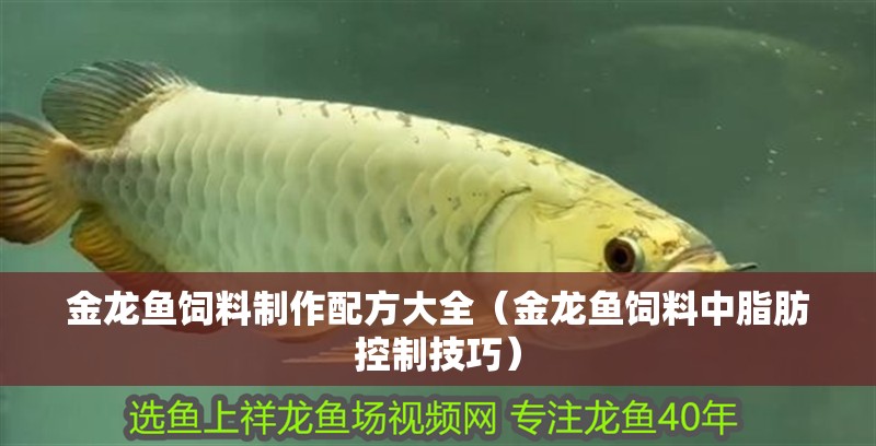 金龍魚(yú)飼料制作配方大全（金龍魚(yú)飼料中脂肪控制技巧）