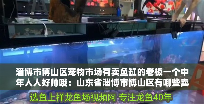 <strong><mark>淄博</mark></strong>市博山區寵物市場有賣魚缸的老板一個中年人人好帥哦：山東省<strong><mark>淄博</mark></strong>市博山區有哪些賣魚缸的地方