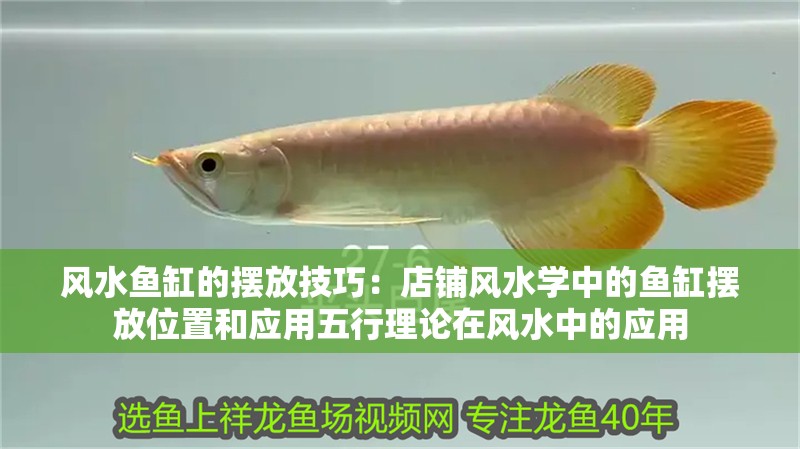 風(fēng)水魚缸的擺放技巧：店鋪風(fēng)水學(xué)中的魚缸擺放位置和應(yīng)用五行理論在風(fēng)水中的應(yīng)用