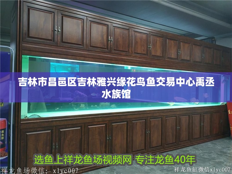 <strong><mark>吉林</mark></strong>市昌邑區<strong><mark>吉林</mark></strong>雅興緣花鳥魚交易中心禹丞水族館