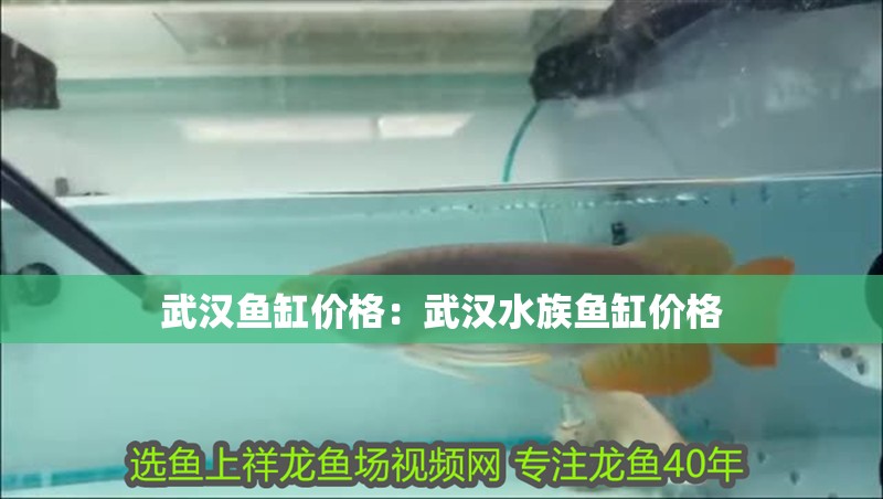 武漢魚缸價格：武漢水族魚缸價格