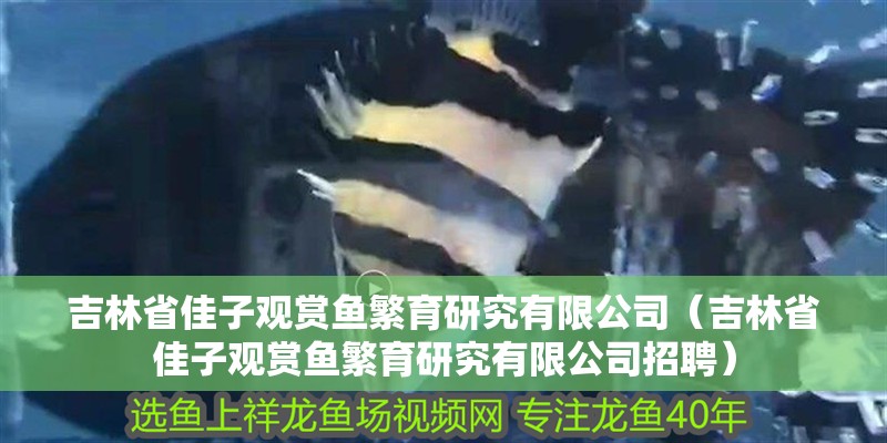 吉林省佳子觀賞魚繁育研究有限公司（吉林省佳子觀賞魚繁育研究有限公司招聘）
