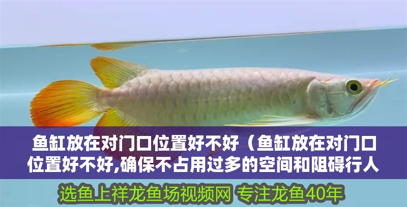 魚缸放在對門口位置好不好（魚缸放在對門口位置好不好,確保不占用過多的空間和阻礙行人）