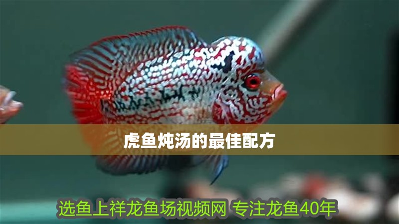 虎魚燉湯的最佳配方