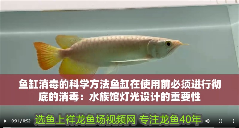 魚缸消毒的科學方法魚缸在使用前必須進行徹底的消毒：水族館燈光設計的重要性