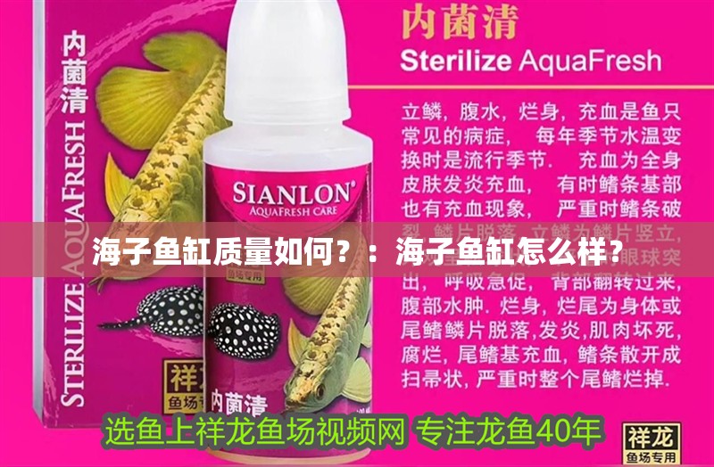 海子魚缸質(zhì)量如何？：海子魚缸怎么樣？