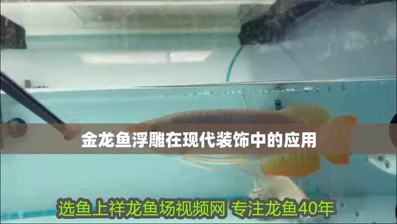 金龍魚浮雕在現代裝飾中的應用