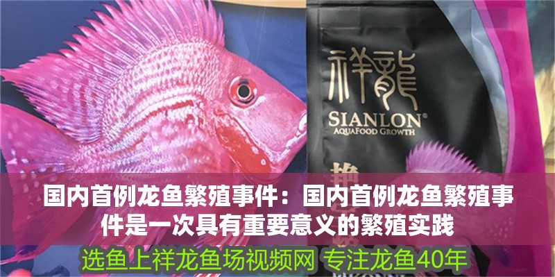 國內首例龍魚繁殖事件：國內首例龍魚繁殖事件是一次具有重要意義的繁殖實踐