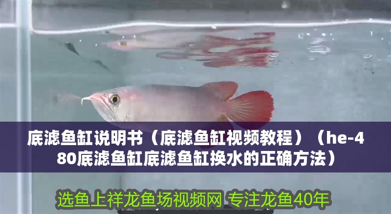 底濾魚缸說明書（底濾魚缸視頻教程）（he-480底濾魚缸底濾魚缸換水的正確方法）