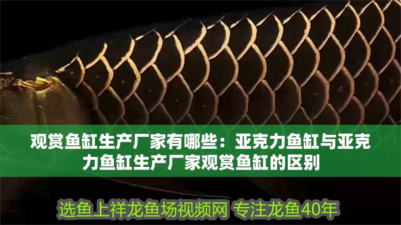 觀賞魚缸生產廠家有哪些：亞克力魚缸與亞克力魚缸生產廠家觀賞魚缸的區別