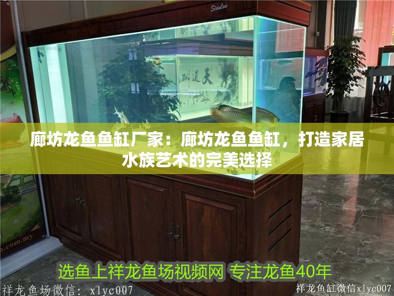 廊坊龍魚魚缸廠家：廊坊龍魚魚缸，打造家居水族藝術的完美選擇