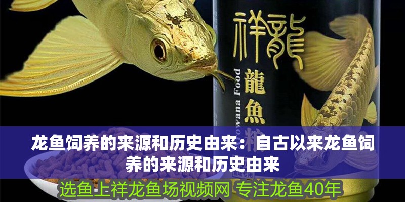 龍魚飼養的來源和歷史由來：自古以來龍魚飼養的來源和歷史由來