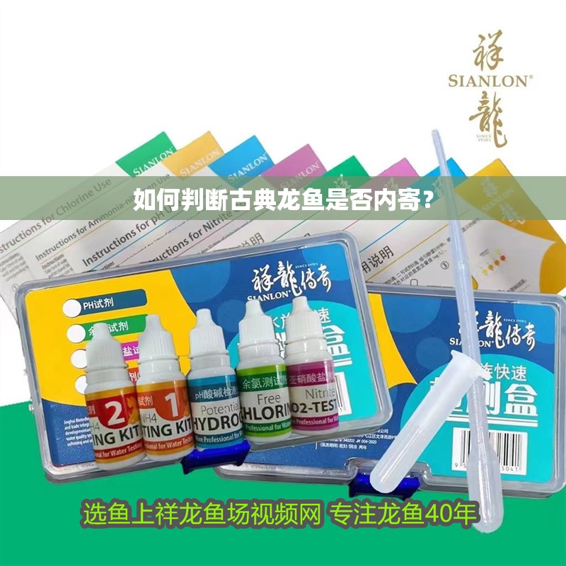 如何判斷古典龍魚是否內寄？
